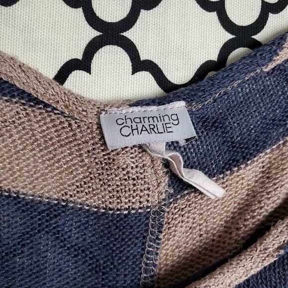 Charming Charie Size XS Stripe 3/4 sleeve Top - Picture 8 of 8